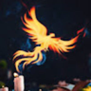 Meet your Posher, Phoenix